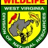 WV DNR