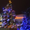 christmas tree