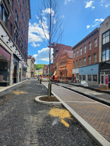Planted tree on Baltimore St