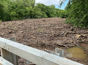 Conococheague Creek