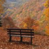 wv fall
